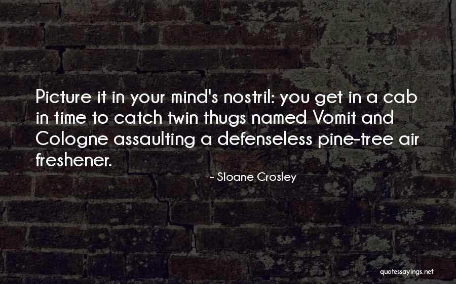 Twin Air Quotes By Sloane Crosley Twin Air Quotes By Sloane Crosley