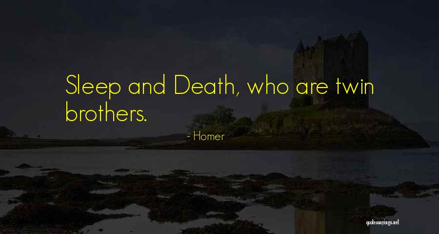 Twin Brothers Quotes By Homer