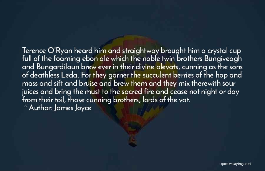 Twin Brothers Quotes By James Joyce