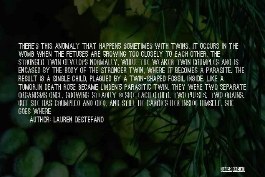 Twin Shadow Quotes By Lauren DeStefano