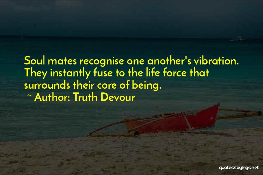 Twin Soul Mates Quotes By Truth Devour