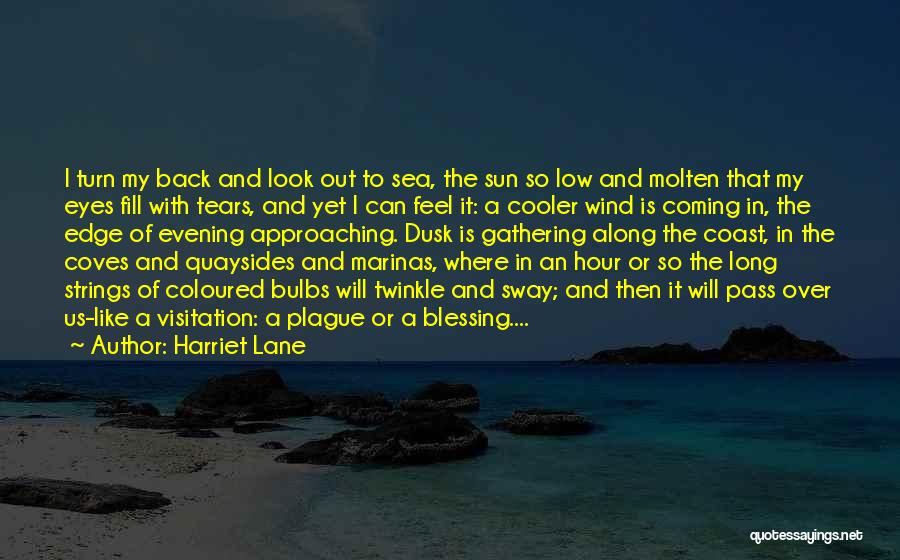 Twinkle In Your Eyes Quotes By Harriet Lane