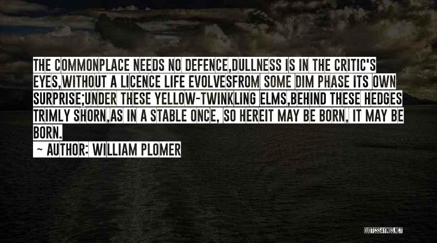 Twinkling Eyes Quotes By William Plomer