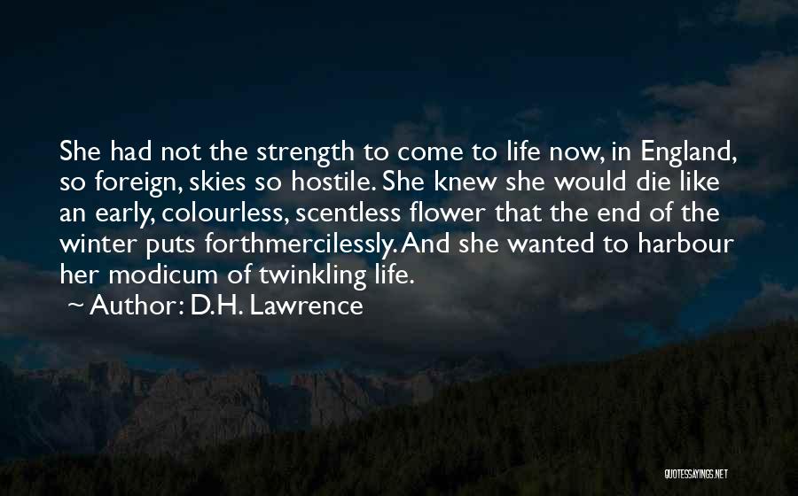 Twinkling Quotes By D.H. Lawrence