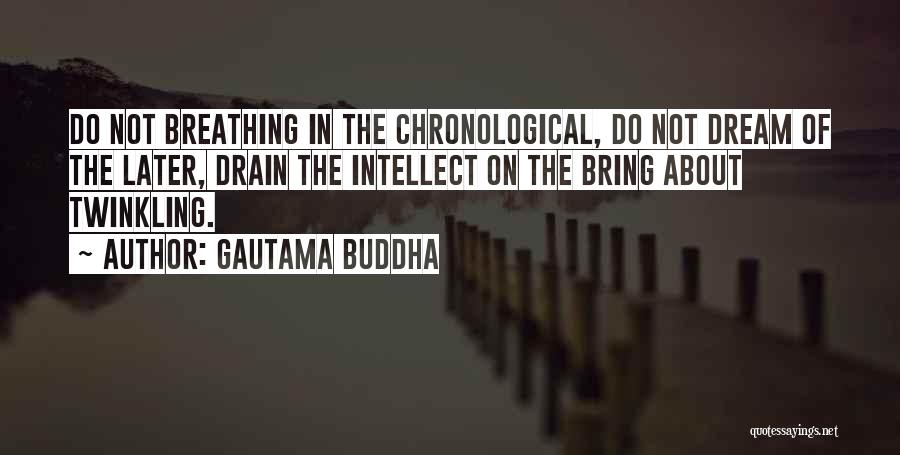 Twinkling Quotes By Gautama Buddha