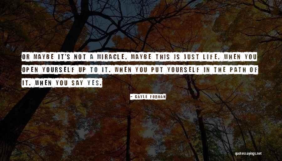 Twinner Quotes By Gayle Forman Twinner Quotes By Gayle Forman