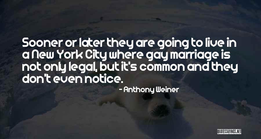 Twinship Kohut Quotes By Anthony Weiner Twinship Kohut Quotes By Anthony Weiner