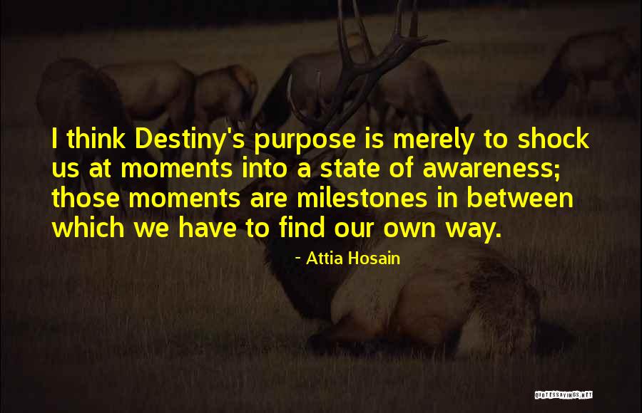 Twirled Around Quotes By Attia Hosain Twirled Around Quotes By Attia Hosain
