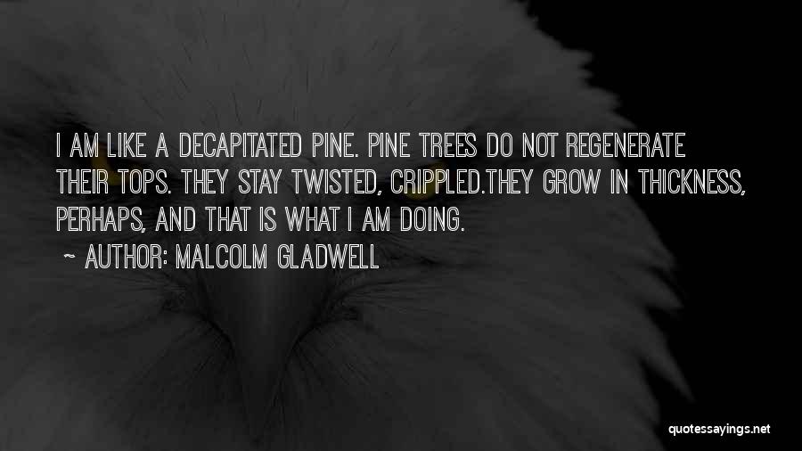 Twisted Trees Quotes By Malcolm Gladwell