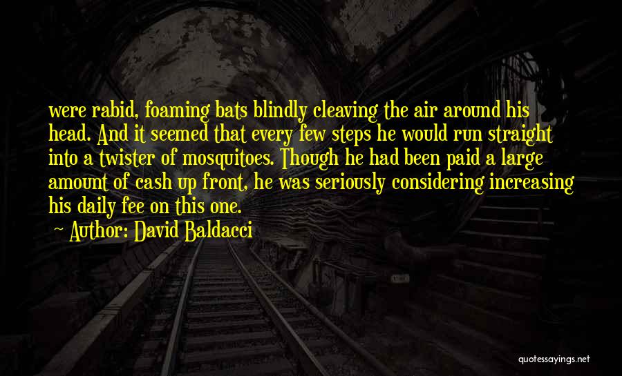 Twister Quotes By David Baldacci