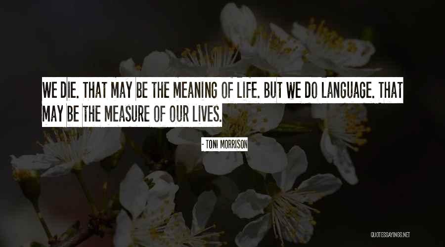 Twitcher Idubbz Quotes By Toni Morrison Twitcher Idubbz Quotes By Toni Morrison