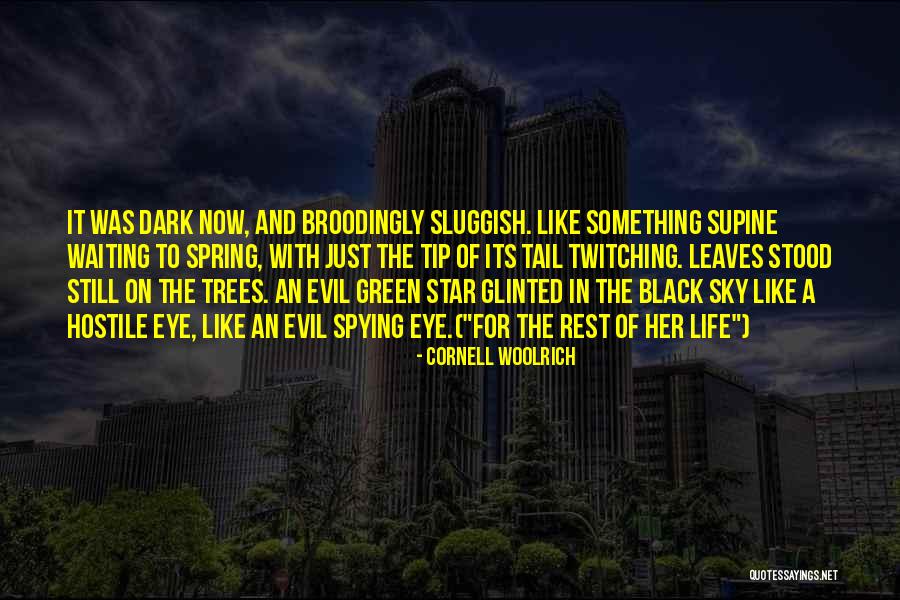 Twitching Eye Quotes By Cornell Woolrich Twitching Eye Quotes By Cornell Woolrich