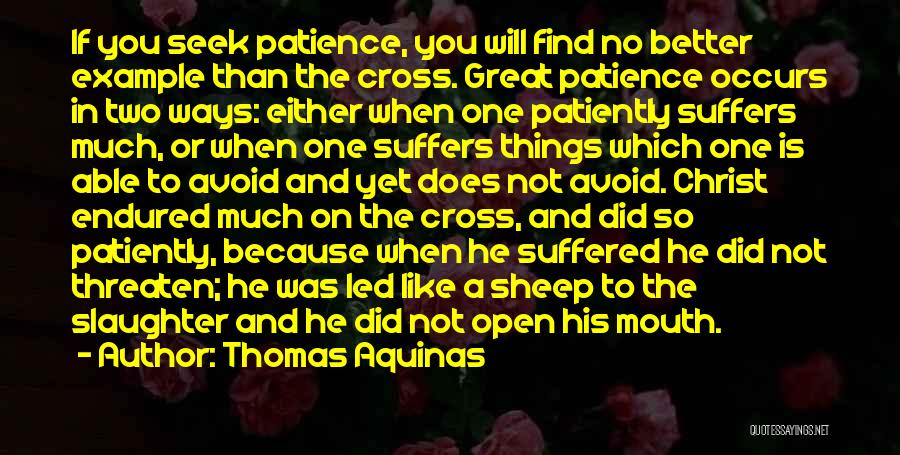 Two Better Than One Quotes By Thomas Aquinas