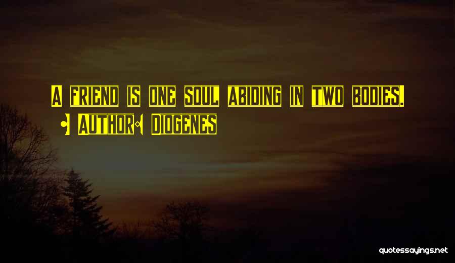 Two Bodies Quotes By Diogenes