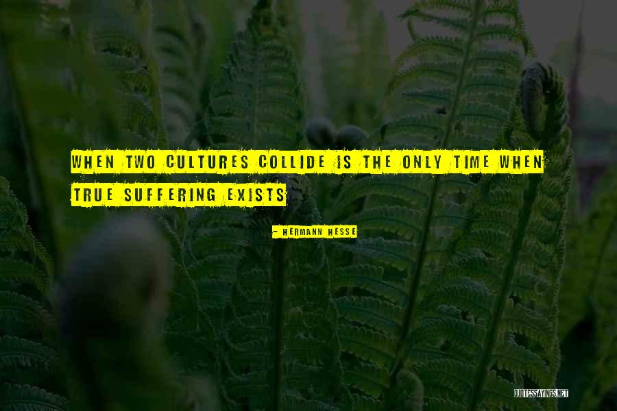 Two Cultures Quotes By Hermann Hesse Two Cultures Quotes By Hermann Hesse