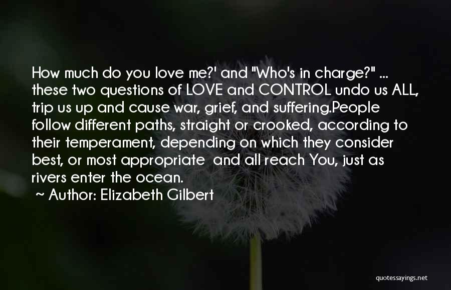 Two Different Paths Quotes By Elizabeth Gilbert