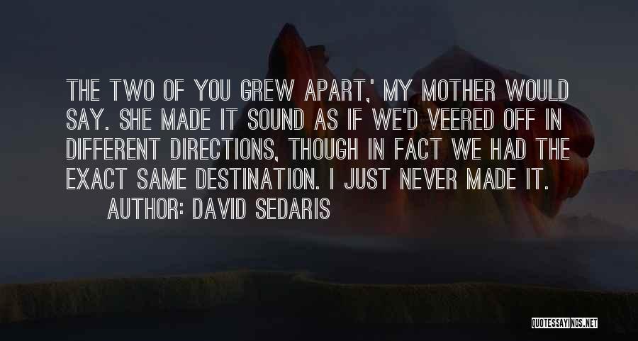 Two Directions Quotes By David Sedaris