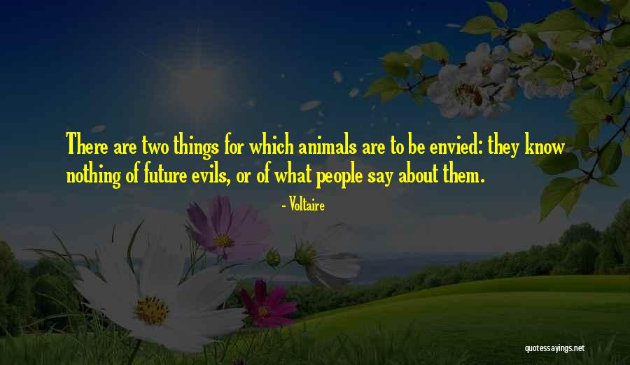 Two Evils Quotes By Voltaire