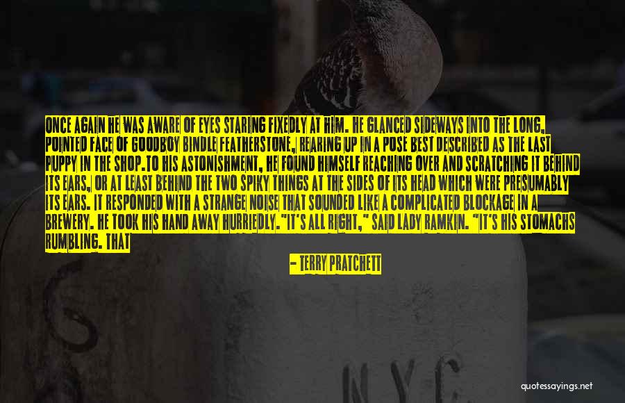 Two Face Best Quotes By Terry Pratchett