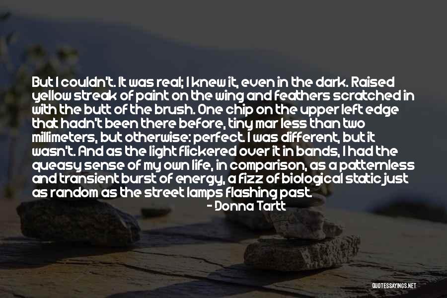 Two Feathers Quotes By Donna Tartt Two Feathers Quotes By Donna Tartt