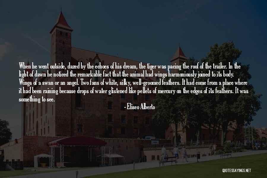 Two Feathers Quotes By Eliseo Alberto Two Feathers Quotes By Eliseo Alberto