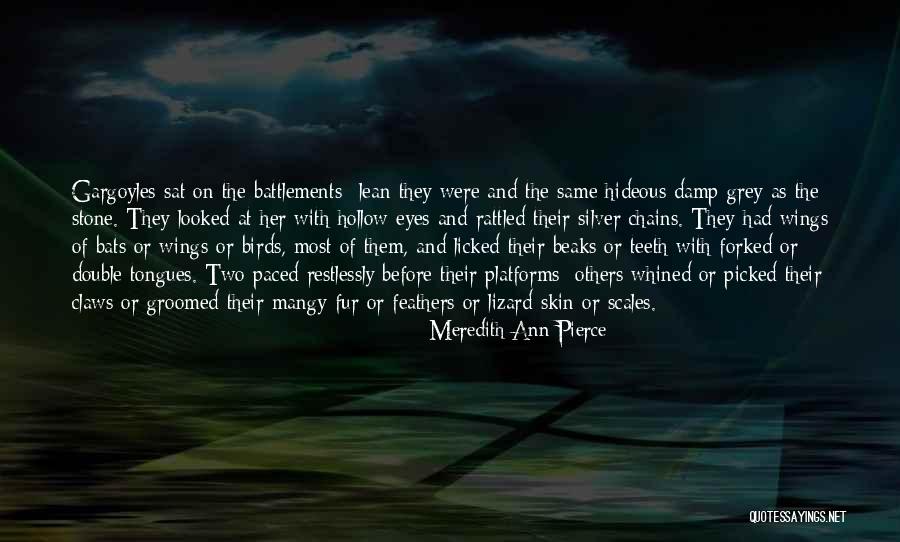 Two Feathers Quotes By Meredith Ann Pierce Two Feathers Quotes By Meredith Ann Pierce