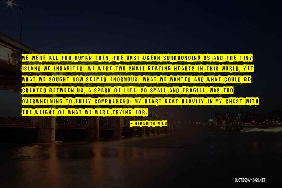 Two Hearts Quotes By Meredith Wild Two Hearts Quotes By Meredith Wild
