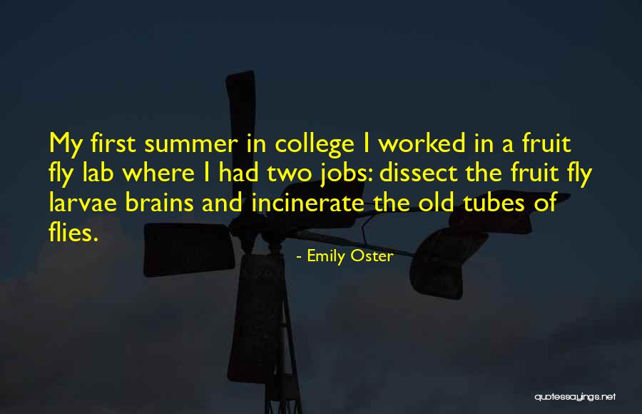 Two Jobs Quotes By Emily Oster Two Jobs Quotes By Emily Oster