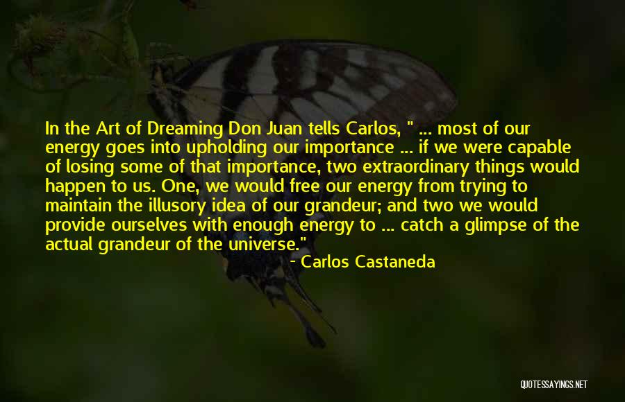 Two Of Us Quotes By Carlos Castaneda