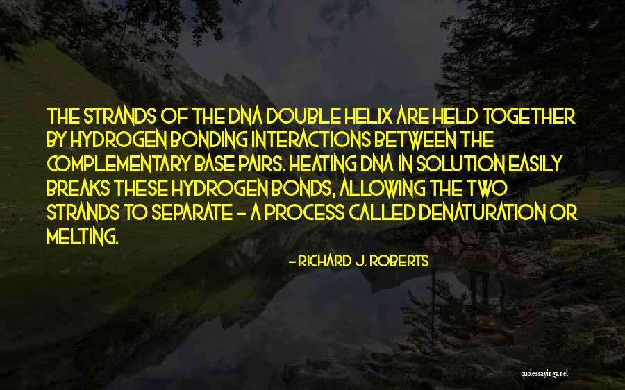 Two Pairs Quotes By Richard J. Roberts Two Pairs Quotes By Richard J. Roberts