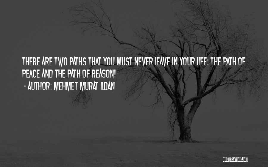 Two Paths In Life Quotes By Mehmet Murat Ildan
