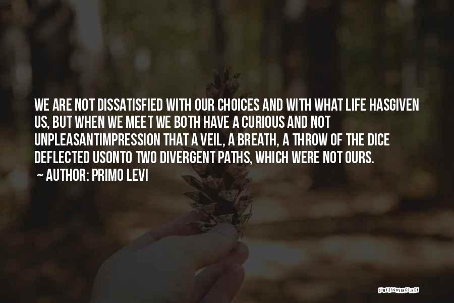 Two Paths In Life Quotes By Primo Levi