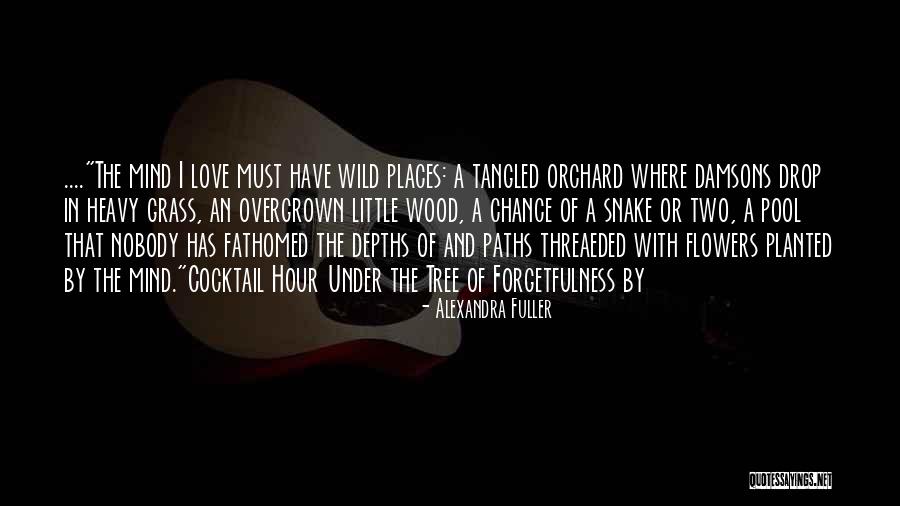 Two Paths Quotes By Alexandra Fuller Two Paths Quotes By Alexandra Fuller