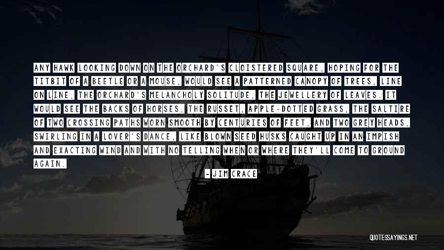 Two Paths Quotes By Jim Crace Two Paths Quotes By Jim Crace