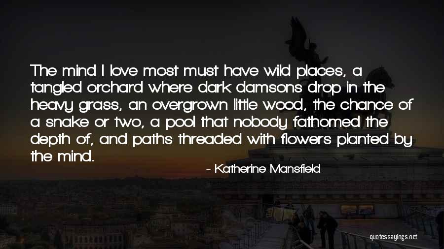 Two Paths Quotes By Katherine Mansfield Two Paths Quotes By Katherine Mansfield
