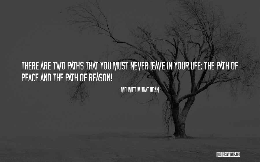 Two Paths Quotes By Mehmet Murat Ildan Two Paths Quotes By Mehmet Murat Ildan
