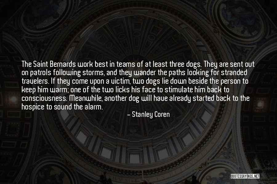 Two Paths Quotes By Stanley Coren Two Paths Quotes By Stanley Coren