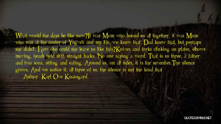 Two Sons Quotes By Karl Ove Knausgard