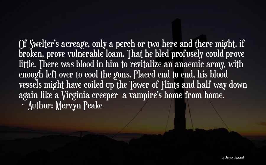 Two Tower Quotes By Mervyn Peake