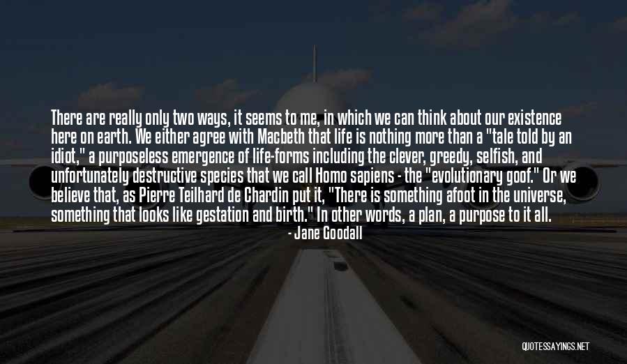 Two Ways Of Life Quotes By Jane Goodall