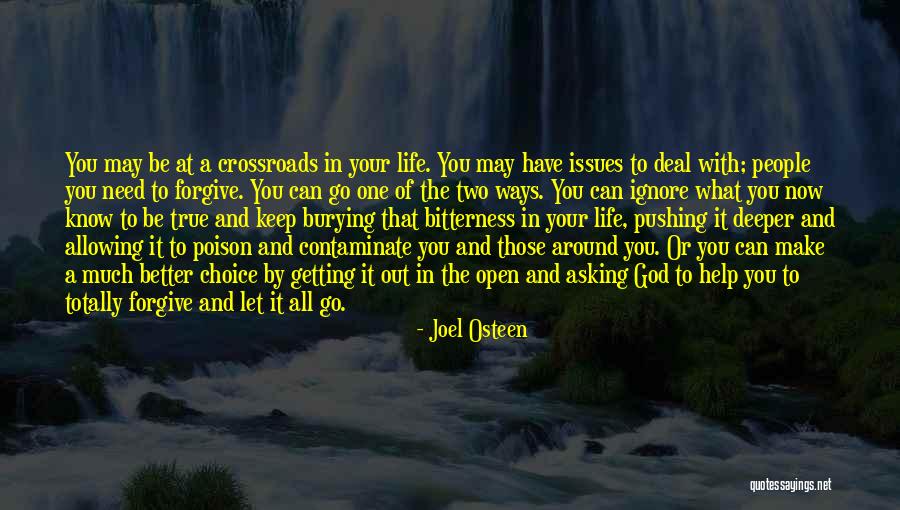 Two Ways Of Life Quotes By Joel Osteen