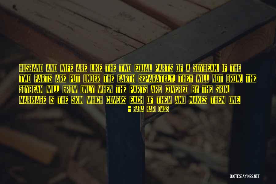 Two Wife One Husband Quotes By Baba Hari Dass Two Wife One Husband Quotes By Baba Hari Dass