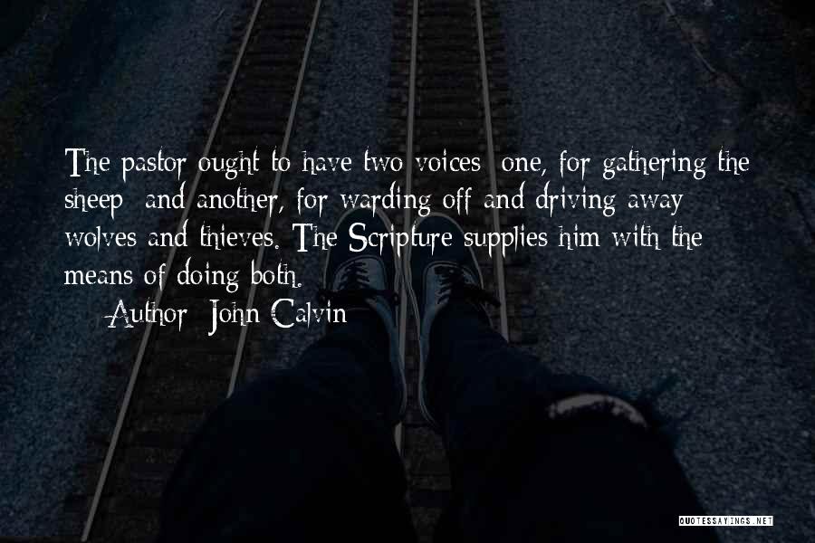 Two Wolves Quotes By John Calvin