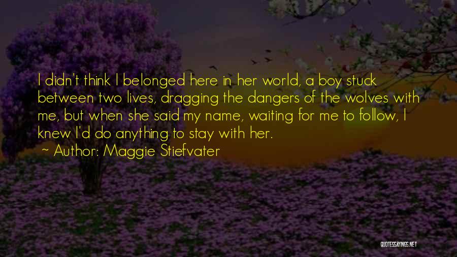 Two Wolves Quotes By Maggie Stiefvater