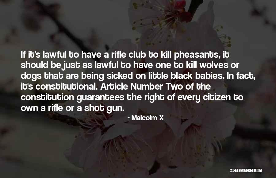 Two Wolves Quotes By Malcolm X