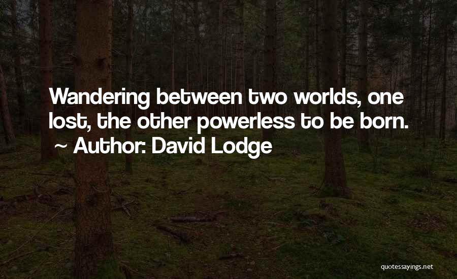 Two Worlds 2 Quotes By David Lodge