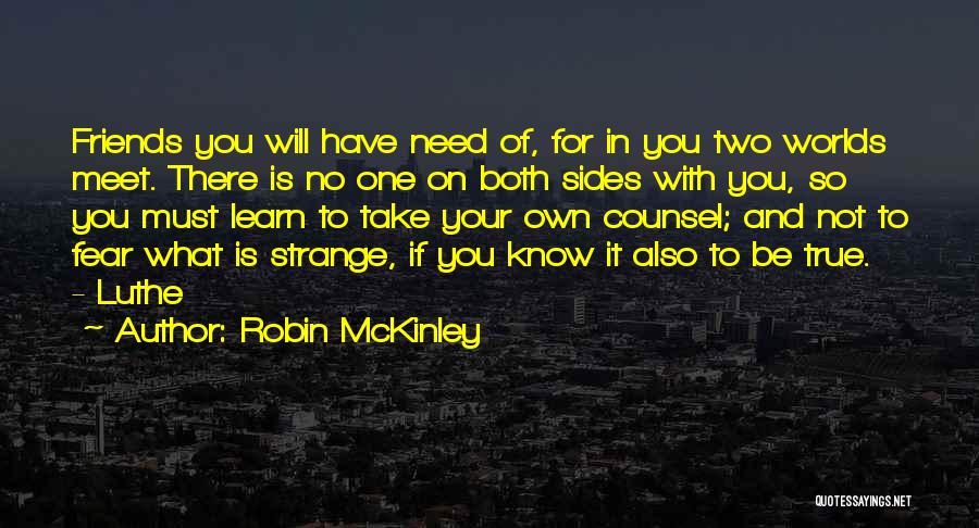 Two Worlds Meet Quotes By Robin McKinley