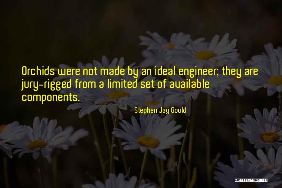 Twoeys New Location Quotes By Stephen Jay Gould Twoeys New Location Quotes By Stephen Jay Gould