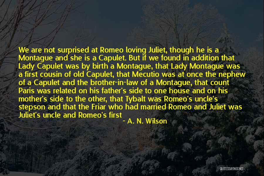 Tybalt Quotes By A. N. Wilson Tybalt Quotes By A. N. Wilson