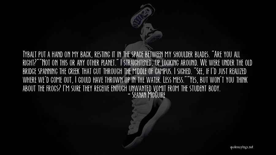 Tybalt Quotes By Seanan McGuire Tybalt Quotes By Seanan McGuire